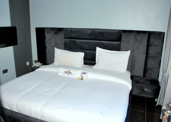 Deluxe Room - Image 6